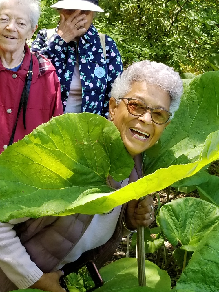 Outdoor activities of New Hempstead Presbyterian Church