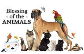 October 26th – Blessing of the Animals