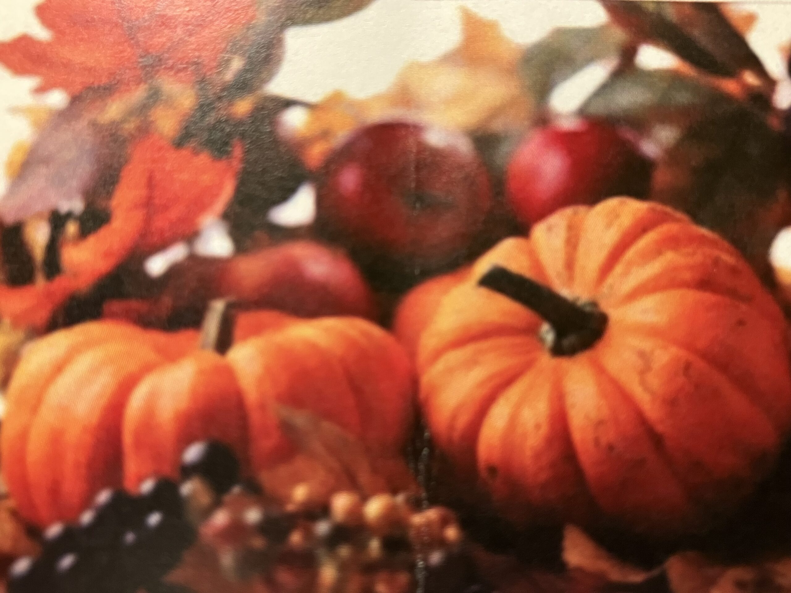 Pumpkin Painting!  Sunday, October 19th from 3-5pm